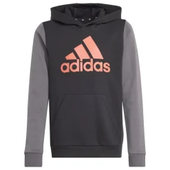 Felpa bambino con cappuccio Essentials Big Logo Colorblock