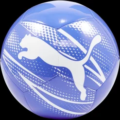 Pallone attacanto Graphic mini Why-Roy Puma