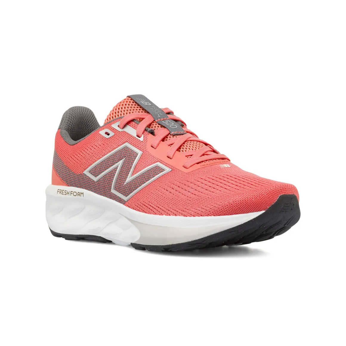 Scarpe da Running rosa da Donna New Balance Fresh Foam 520