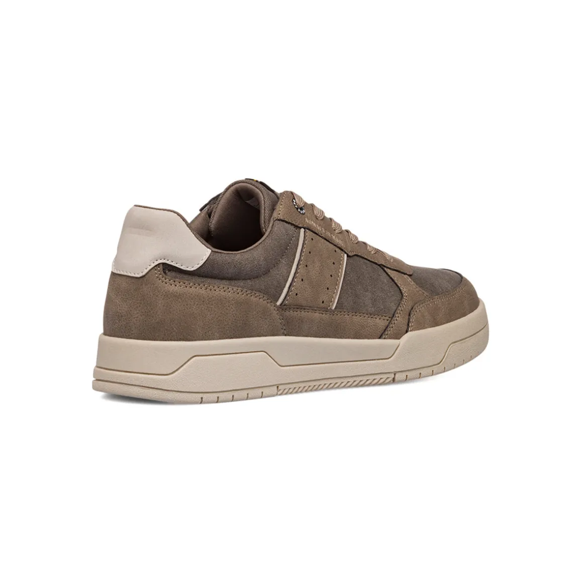 Sneakers taupe da uomo Armata di Mare