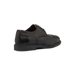 Stringate derby eleganti nere da uomo in pelle con dettagli brogue Primopiano