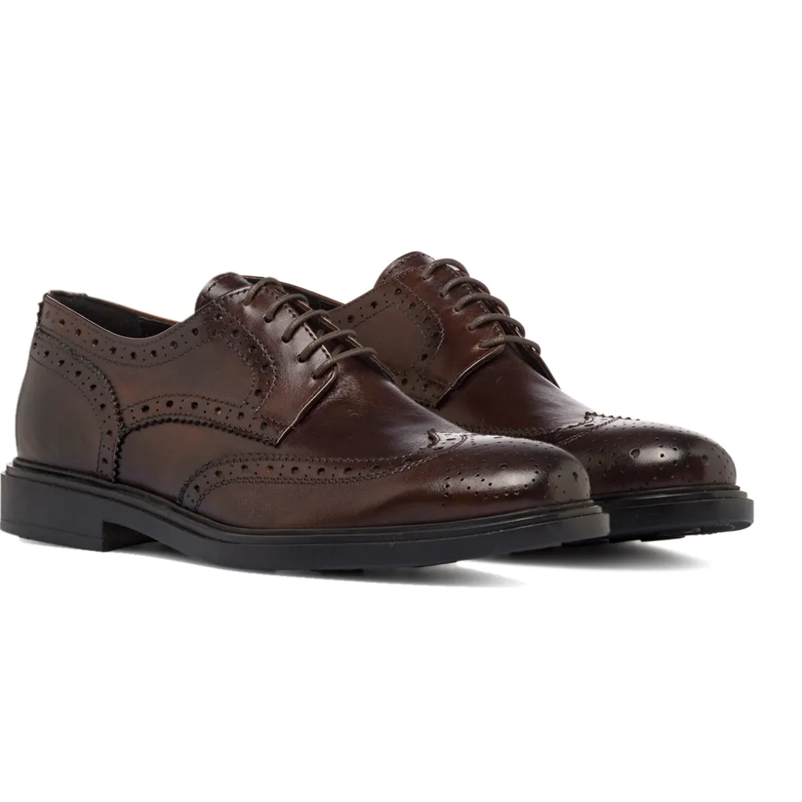 Stringate Derby marroni da Uomo in Pelle con inserti Brogue Primopiano