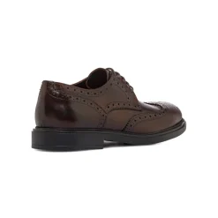 Stringate Derby marroni da Uomo in Pelle con inserti Brogue Primopiano