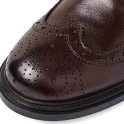 Stringate Derby marroni da Uomo in Pelle con inserti Brogue Primopiano