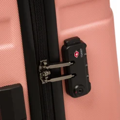 Trolley grande rosa in ABS Delsey Paris
